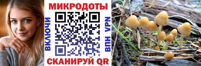Галлюциногенные грибы GOLDEN TEACHER  даркнет сайт  Нальчик 